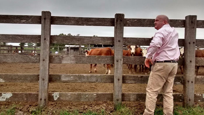 Auditoria TESCO - Fazenda Santa Regina